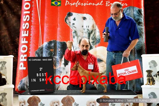 Clique sobre a foto para fechar